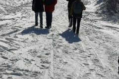 IMG-20230126-WA0008