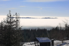 IMG-20230126-WA0009