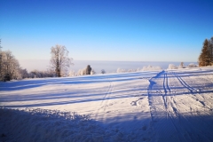 IMG-20230126-WA0011