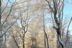 IMG-20230126-WA0012