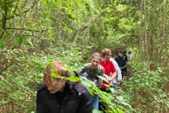 IMG-20241001-WA0035