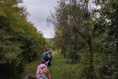 IMG-20241001-WA0036