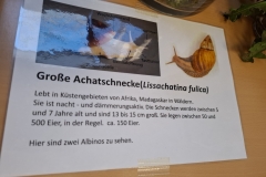 20250327_155331