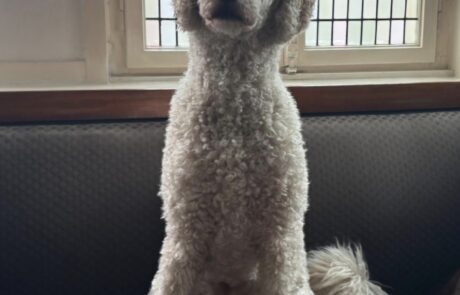 Screenshot_20251206_135132_WhatsApp